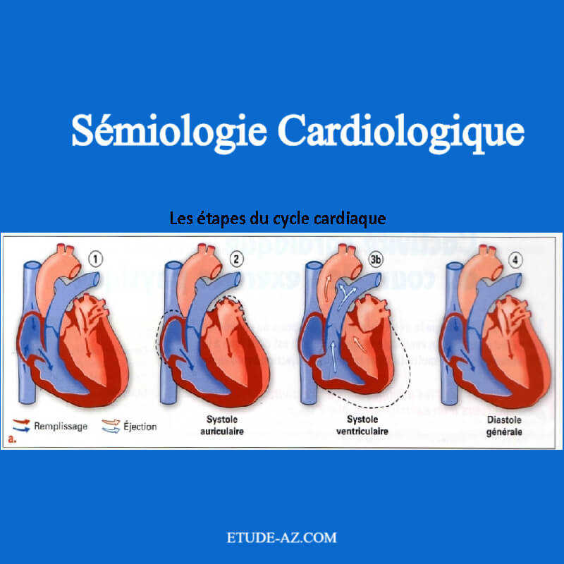 Cours De Sémiologie Cardiologique .PDF - ETUDE-AZ