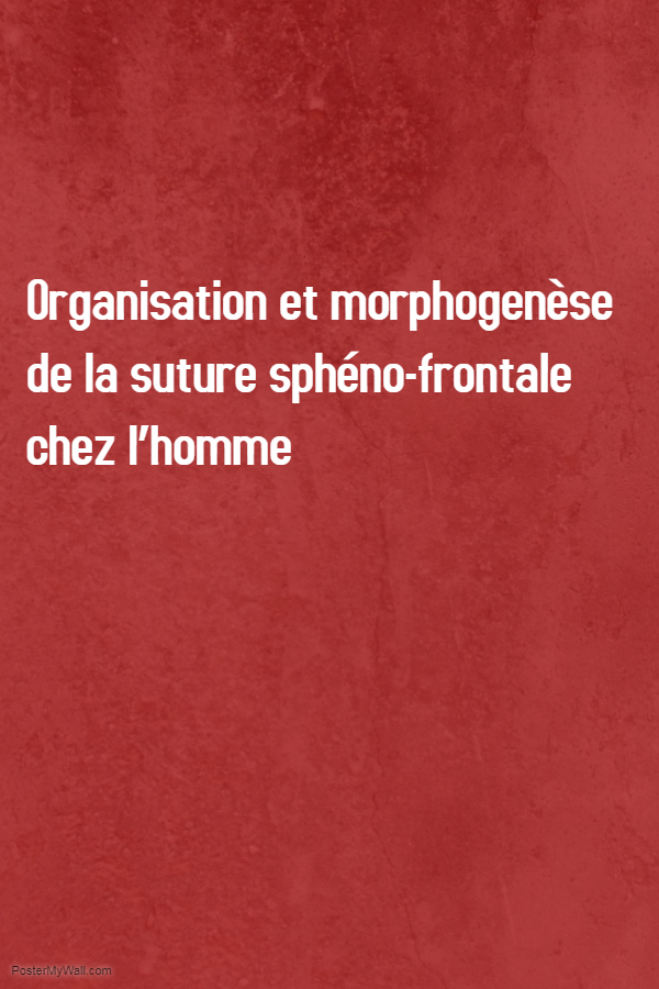Organisation et morphogenèse de la suture sphéno-frontale chez l’homme .PDF