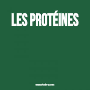 Les protéines .PDF