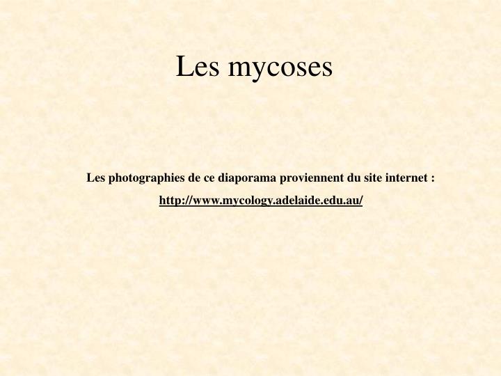Les mycoses .PDF