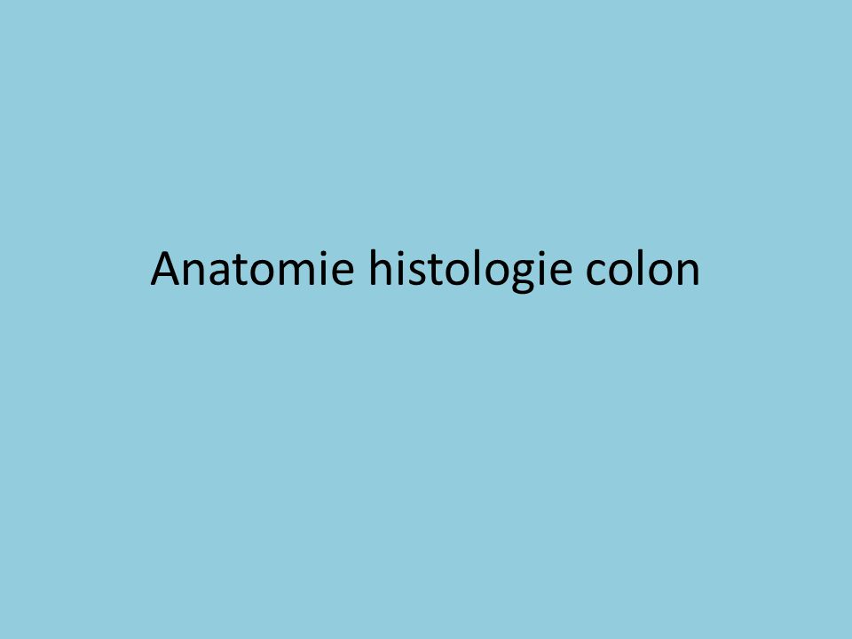 Anatomie histologie colon .PDF