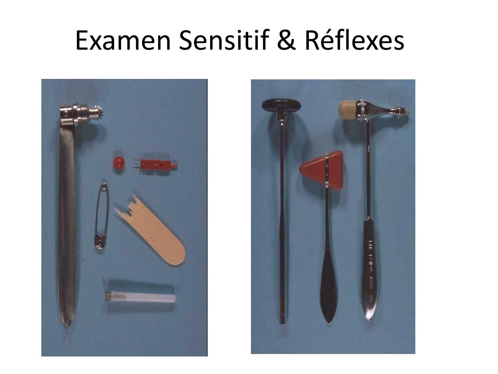 Examen Sensitif et Réflexes .PDF