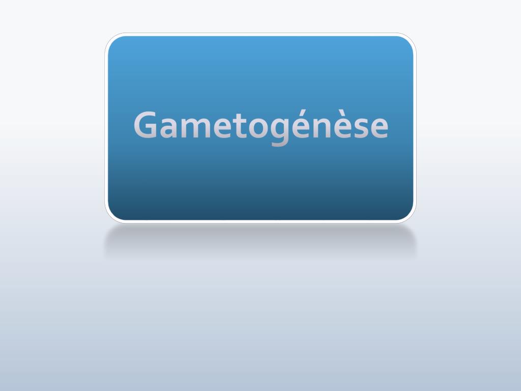 Gametogénèse .PDF