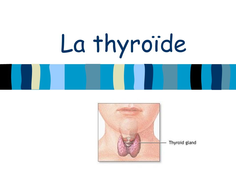 La Thyroïde .PDF