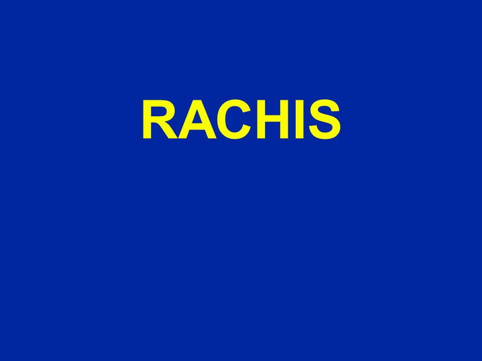 RACHIS .PDF