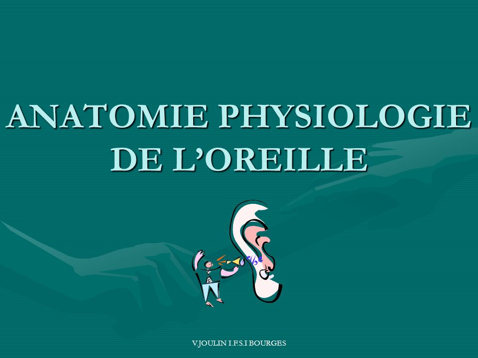 ANATOMIE PHYSIOLOGIE DE L’OREILLE .PDF