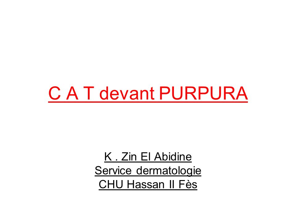 CAT devant PURPURA .PDF