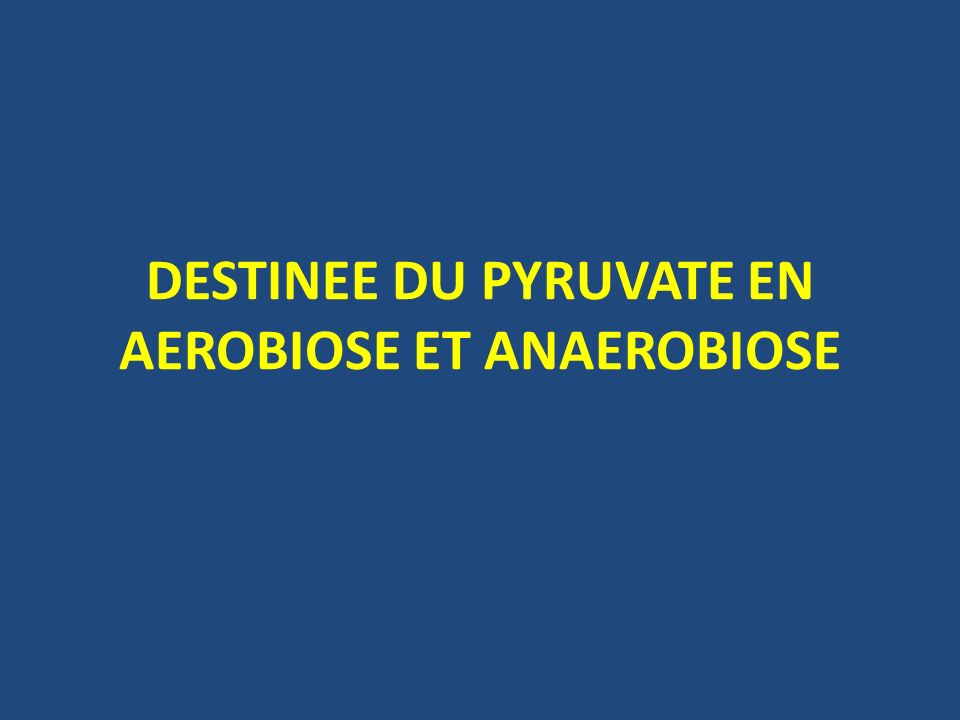 DESTINEE DU PYRUVATE EN AEROBIOSE ET ANAEROBIOSE .PDF