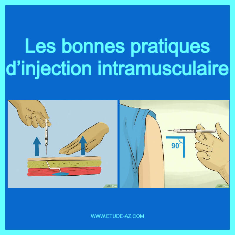 Les Bonnes Pratiques Dinjection Intramusculaire Pdf Etude Az