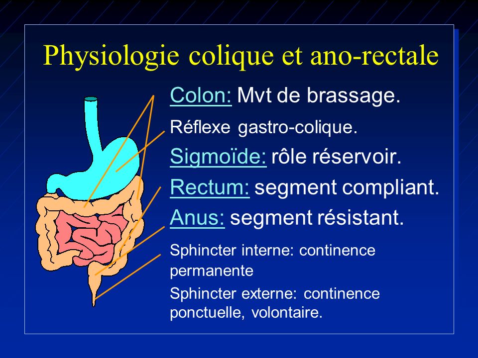 Physiologie colique et ano-rectale .PDF