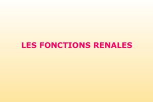 LES FONCTIONS RÉNALES .PDF