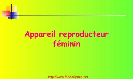 Appareil reproducteur féminin .PDF