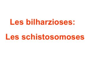 Les bilharzioses:Les schistosomoses .PDF
