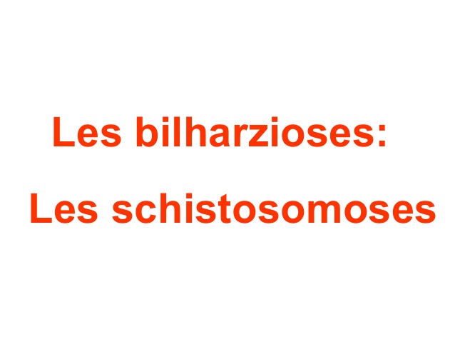 Les bilharzioses:Les schistosomoses .PDF