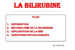 LA BILIRUBINE .PDF