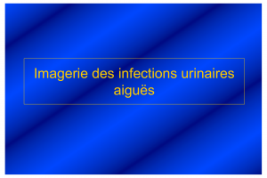 Imagerie des infections urinaires aiguës .PDF