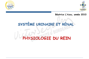 SYSTÈME URINAIRE ET RÉNAL PHYSIOLOGIE DU REIN .PDF
