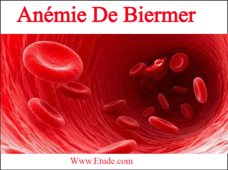 Cours H matologie En PDF ETUDE AZ Cours h matologie en pdf etude az